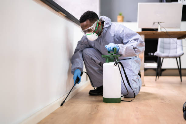 Emergency Pest Control Services in Miramar, FL